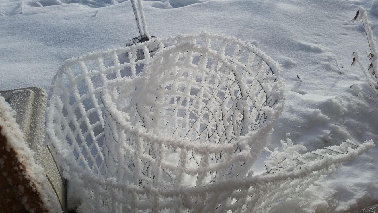 Coiled Fence Frost